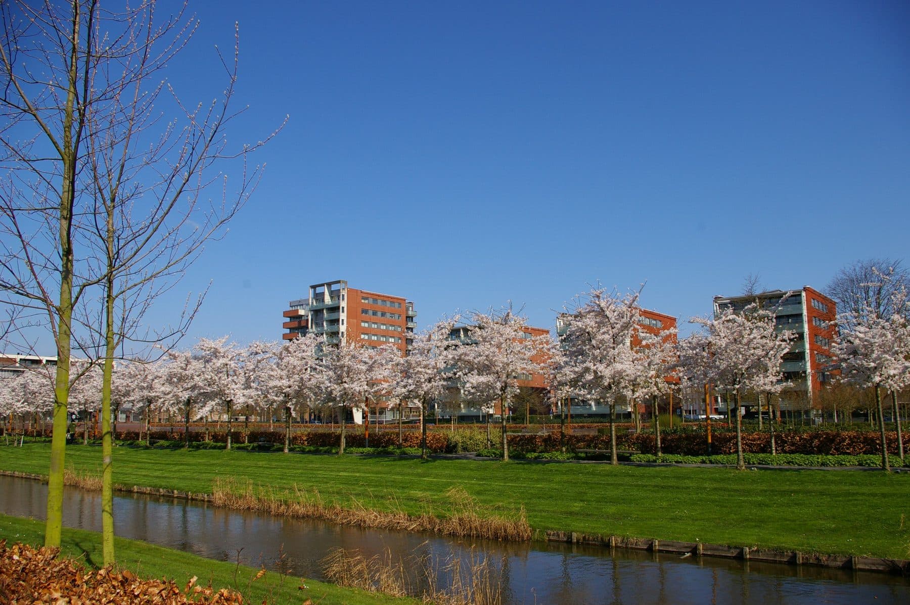 Amstelveen stadsaanzicht, installateurs vergelijken